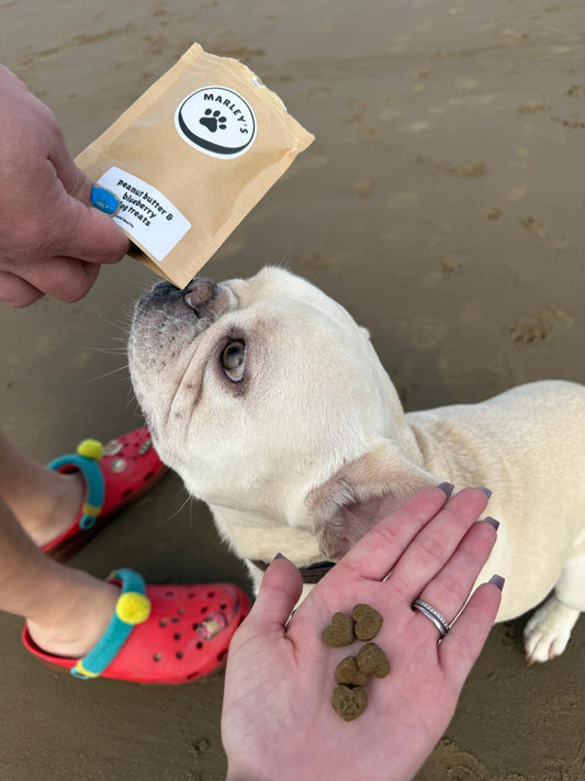 Peanut Butter & Blueberry Dog Treats | Mini Hearts