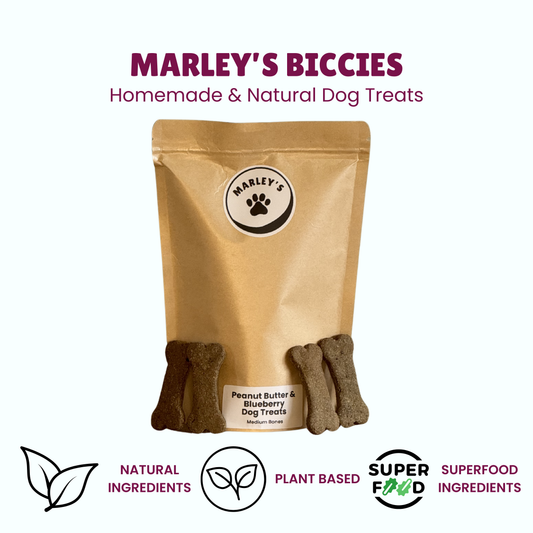 Peanut Butter & Blueberry Dog Treats | Medium Bones