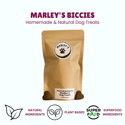 Peanut Butter & Blueberry Dog Treats | Small Hearts