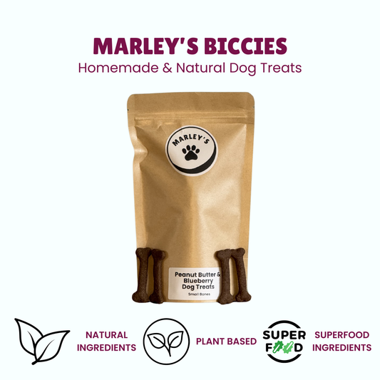 Peanut Butter & Blueberry Dog Treats | Small Bones