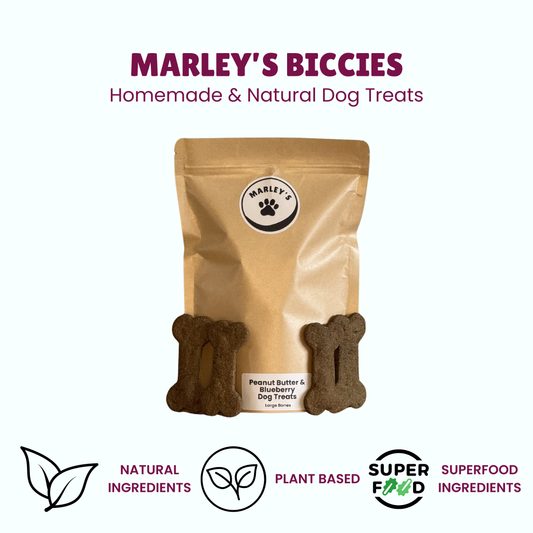 Peanut Butter & Blueberry Dog Treats | Large Bones