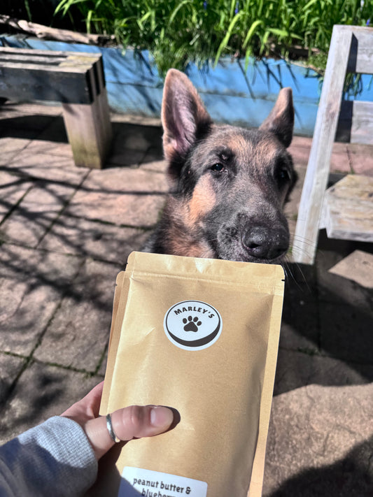 Peanut Butter & Blueberry Dog Treats | Large Bones