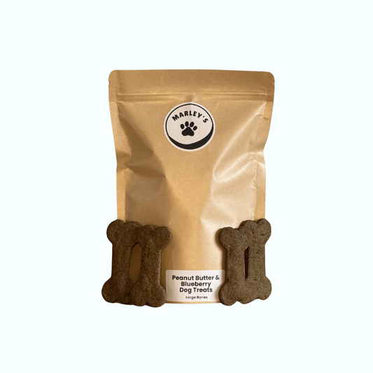 Peanut Butter & Blueberry Dog Treats | Large Bones